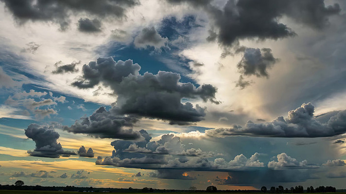 �������̬������Ʋ�