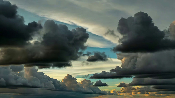 �������̬������Ʋ�