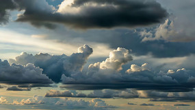 �������̬������Ʋ�