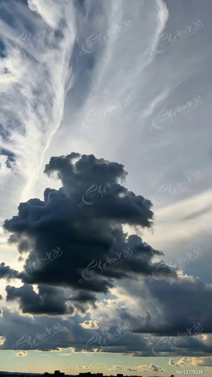 �������̬������ƶ�