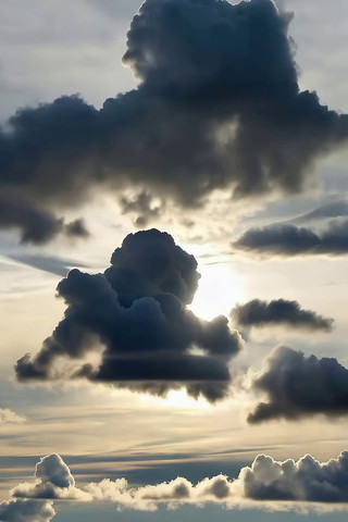 �������̬������ƶ�