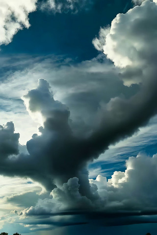 �����׳�۵Ļ����ƾ���