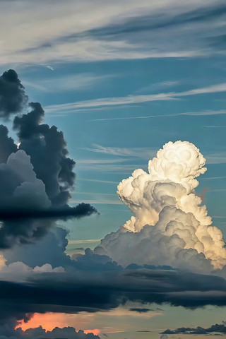 �����׳�����ƶ侰��