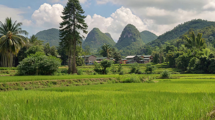 ��Ұ��� ������Զɽ��ɫ