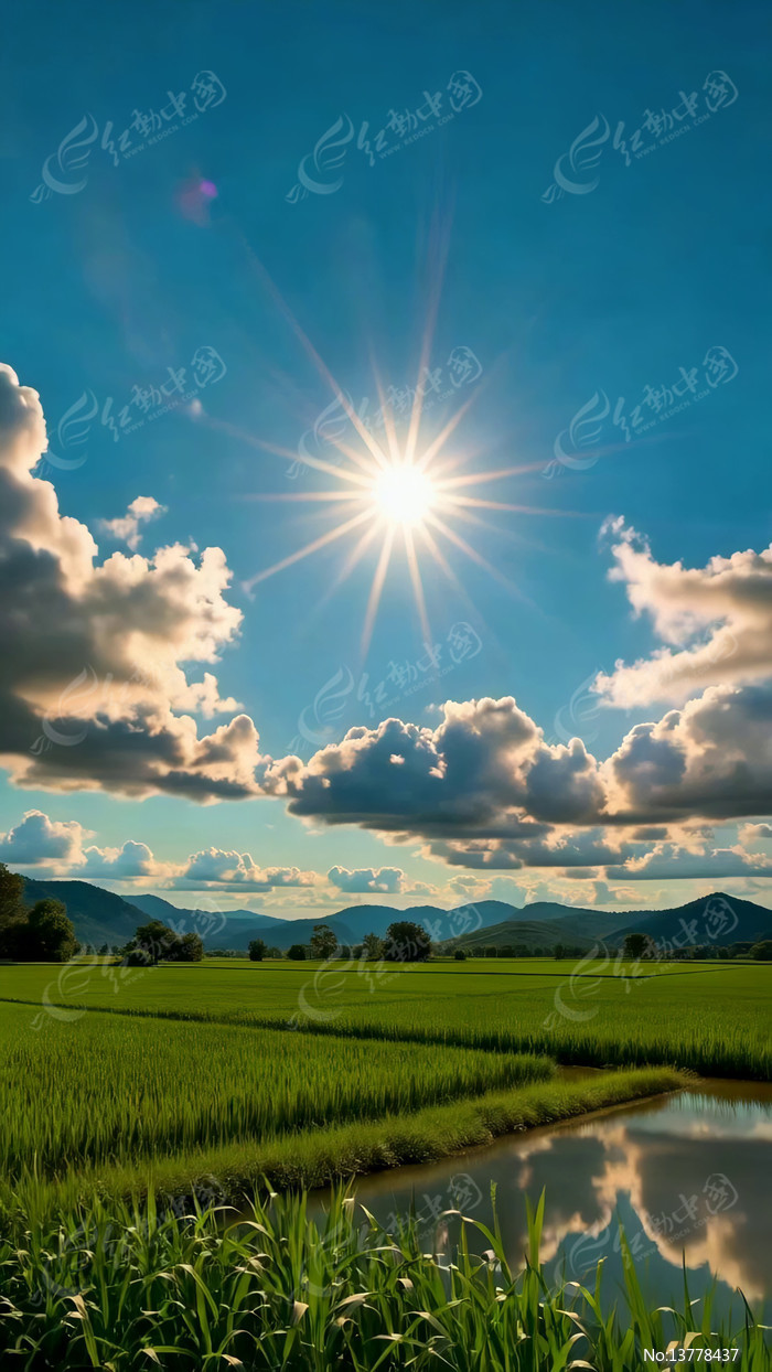 ��Ұ�������������⵾��