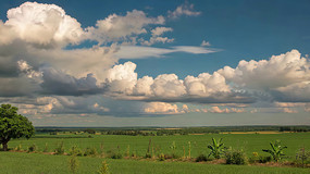 ��Ұ������������Ȼ��ɫ