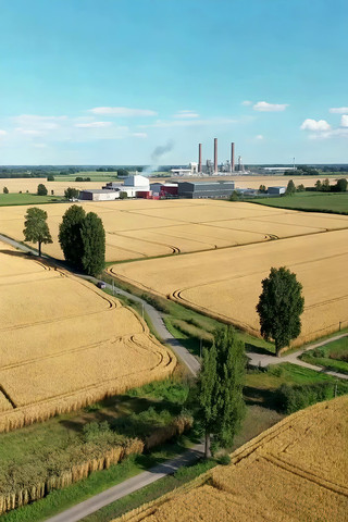 ��Ұ����ȫ�������ز�