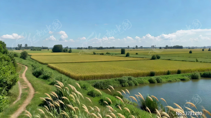 ��Ұ�ӱ���԰���ȫ��