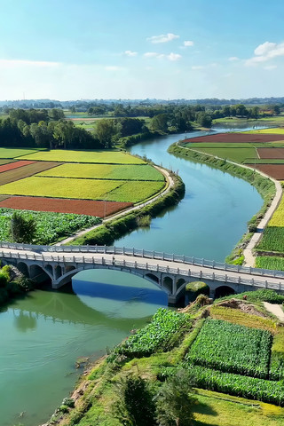 ��Ұ����ʯ�Ÿ����