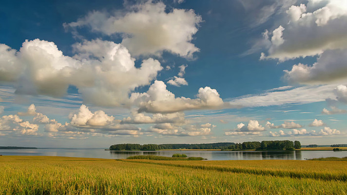 ��Ұ�������������Ȼ���