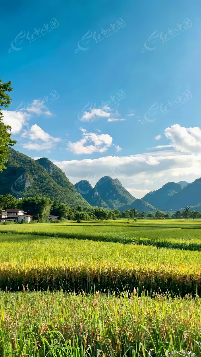 ��Ұ���ˮ����԰���