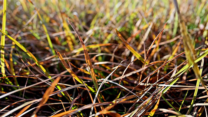 ��Ұ����Ӳ���д mp4