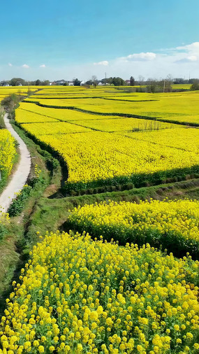 ��Ұ���Ͳ˻��������