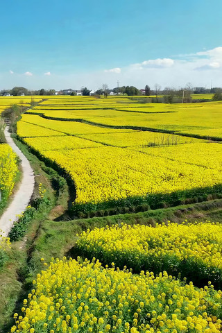 ��Ұ���Ͳ˻��������