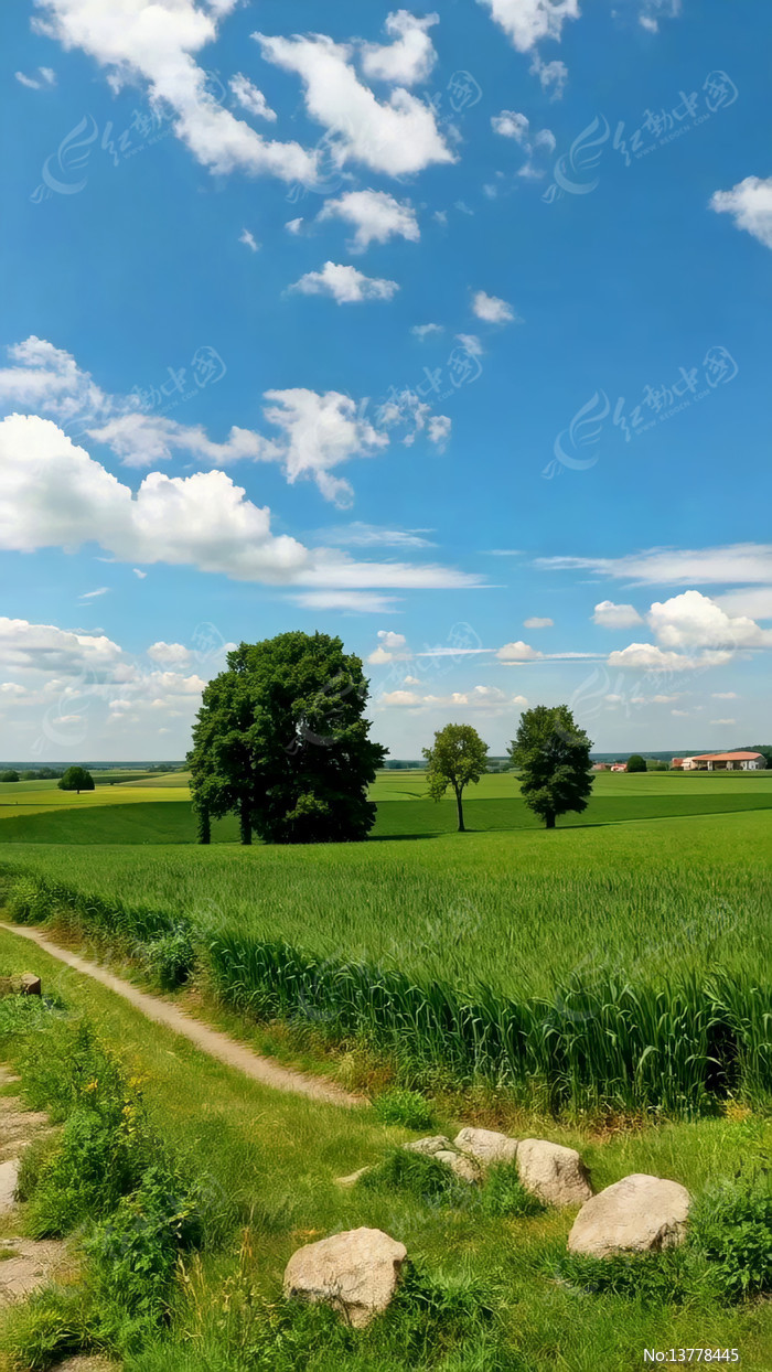 ��Ұ���������Ȼ���