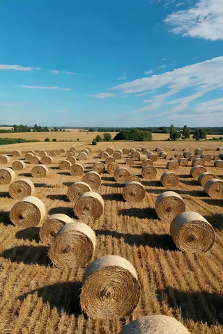 ��Ұ�������԰����ز�