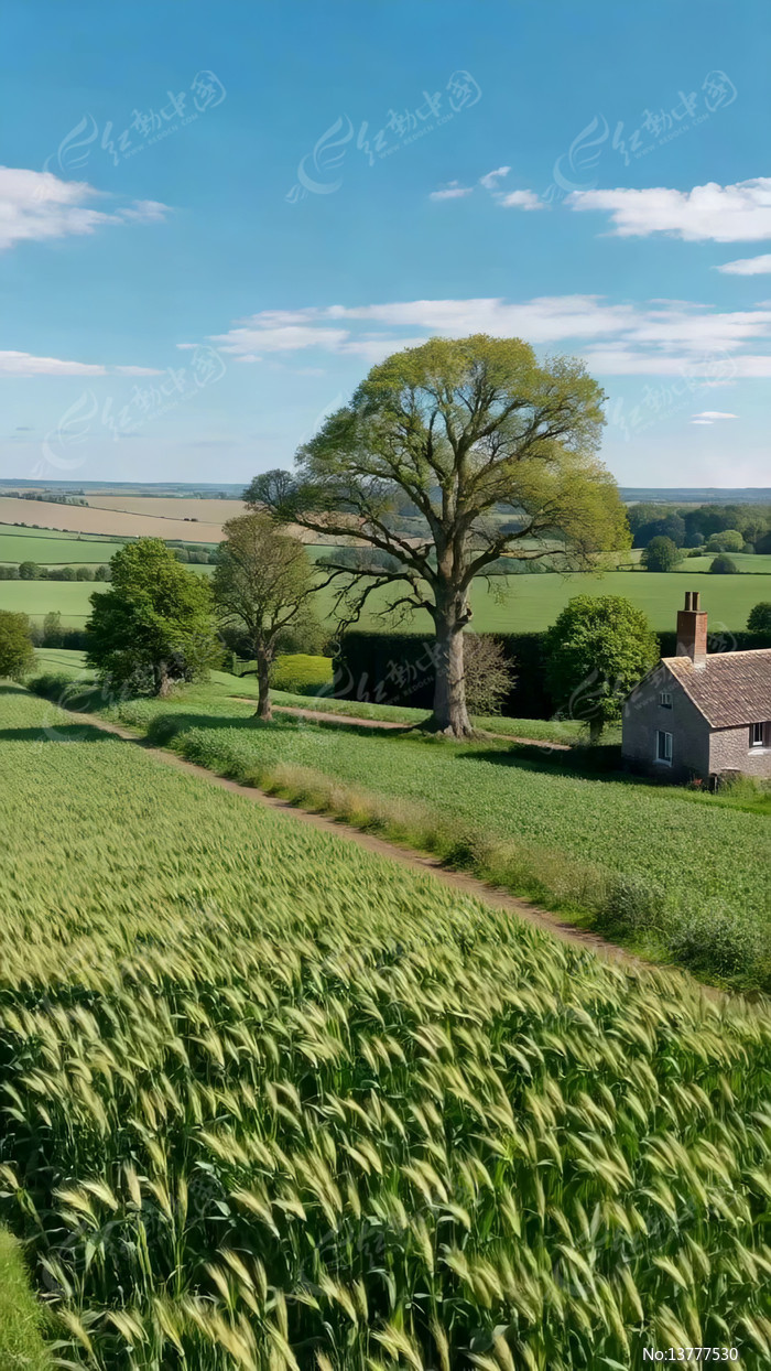 ��Ұ�����Ե����С�ݷ羰