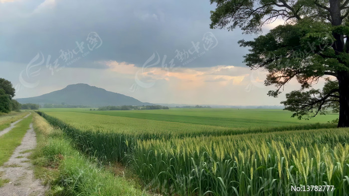 ��Ұ�������С·��Ȼ���