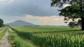 ��Ұ�������С·��Ȼ���