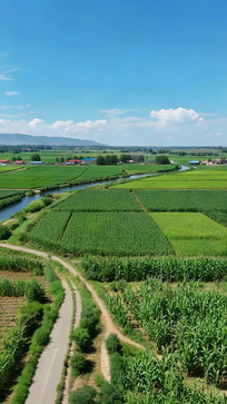 ��Ұũ�ﺽ�ķ��