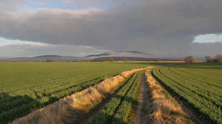 田野农田自然风光 田野农田自然风光