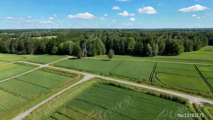 ��Ұɭ�ֺ�����Ȼ����ز�