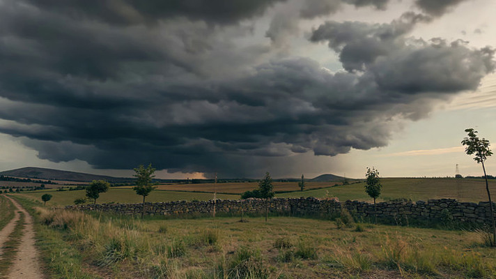 ��Ұ�Ͽ������ܲ�����Ȼ����