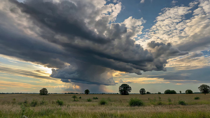 ��Ұ�Ͽ�׳���Ʋ㾰��