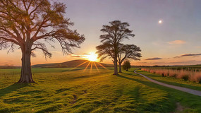 ��Ұ����������Ȼ���