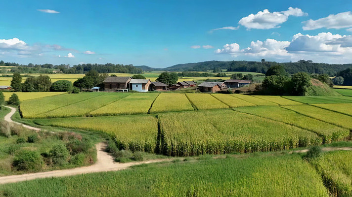 田野乡村全景自然风光 田野乡村全景自然风光