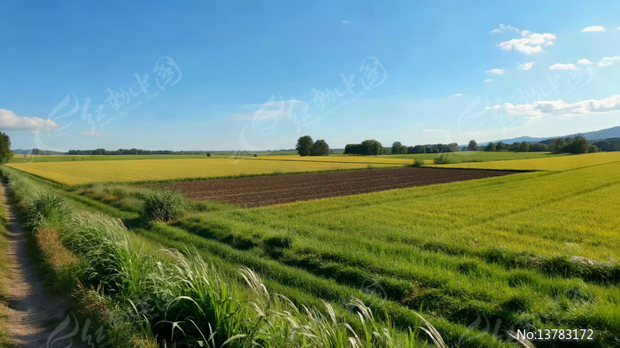 ��Ұ�����԰���