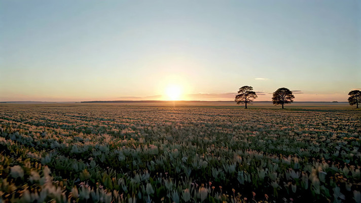 ��ҰϦ����Ȼ����ز�