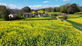 ��Ұ�Ͳ˻����羰