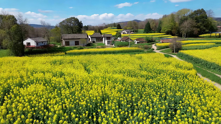 ��Ұ�Ͳ˻����羰