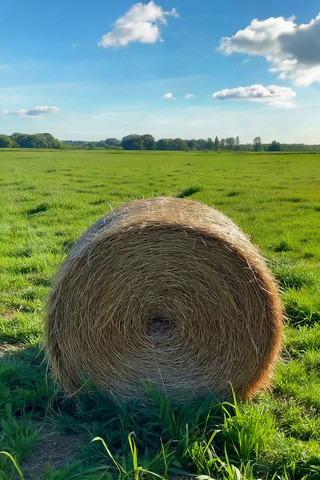 ��Ұ�е��ݶ���Ȼ����ز�