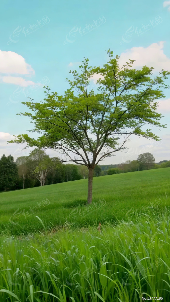 ��Ұ�ж�������