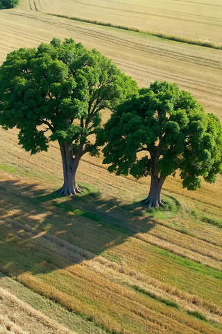 ��Ұ�����ô��������