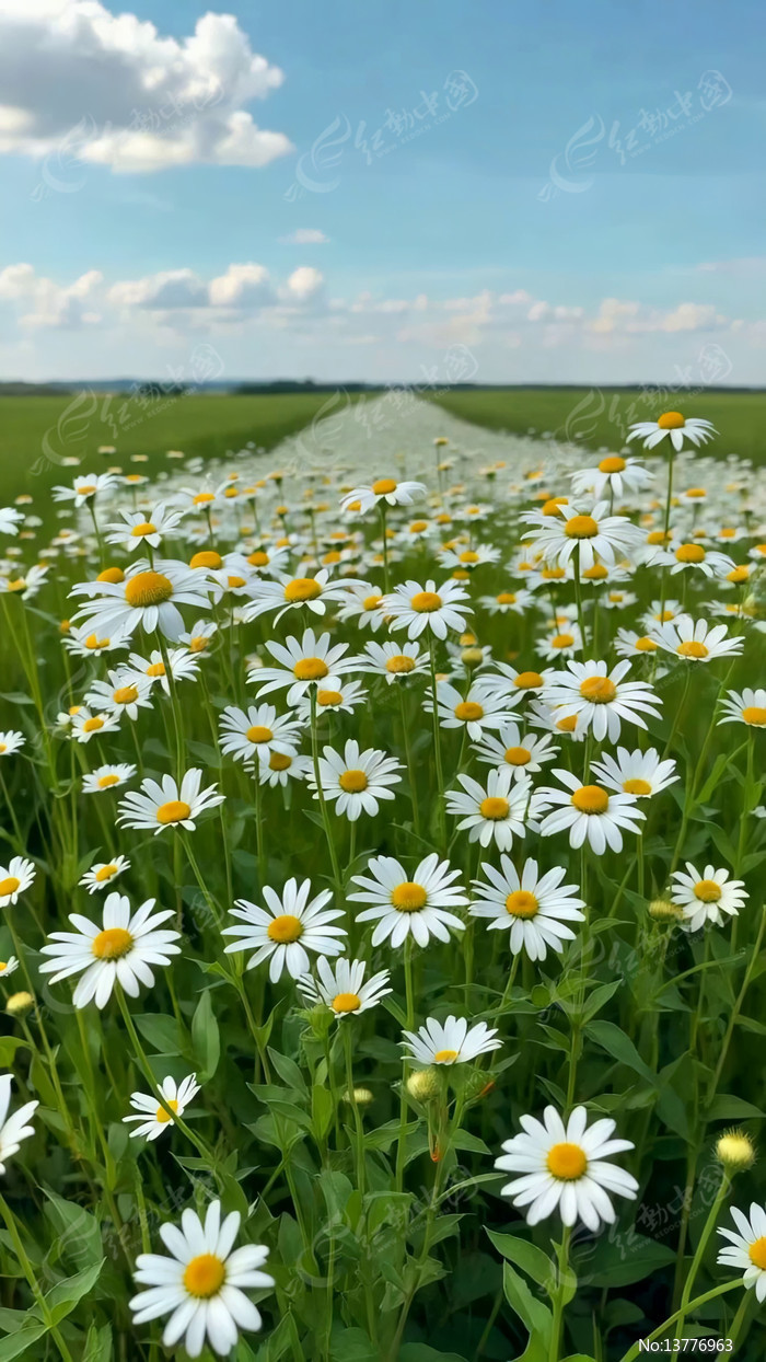 ��Ұ��ʢ���ĳ�����Ȼ���