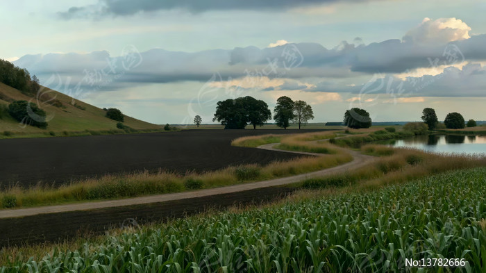 ��Ұ��Ȼ���