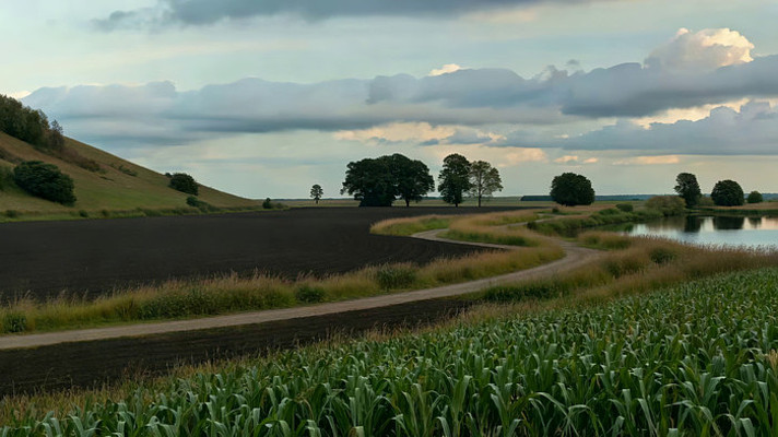 田野自然风光 田野自然风光