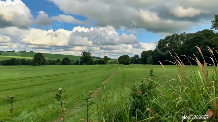 ��Ұ��Ȼ���ȫ��