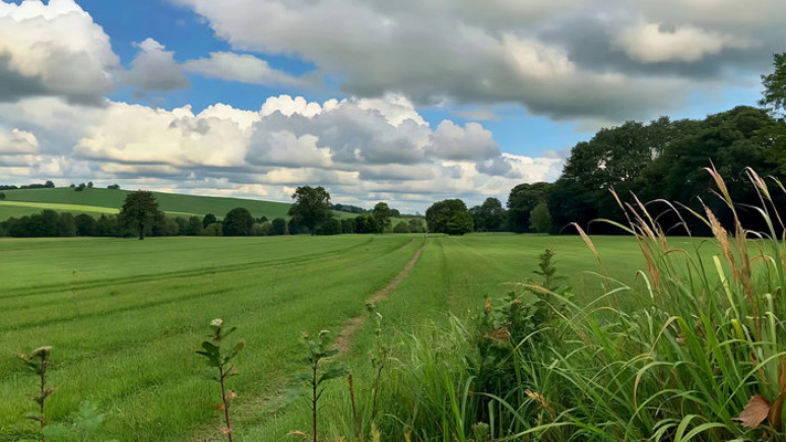 田野自然风光全景 田野自然风光全景