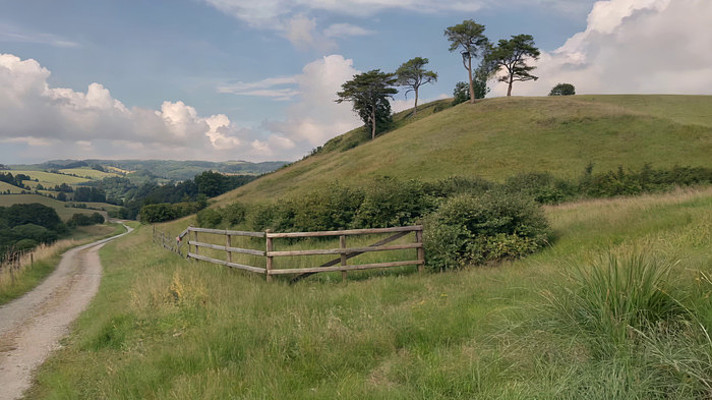 ��԰�ݵ�ɽ��羰