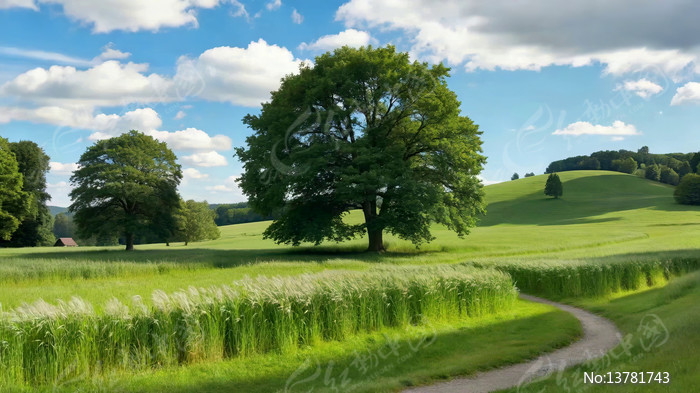 ��԰�ݵ���ľ��Ȼ����ز�