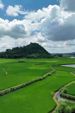 ��԰������Ȼ��⸩�