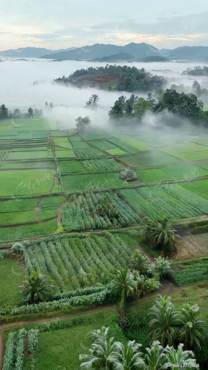 ��԰���ũ����������