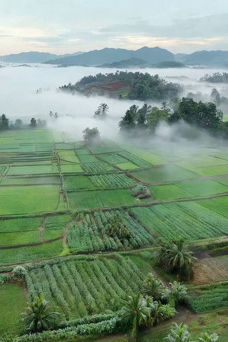 ��԰���ũ����������