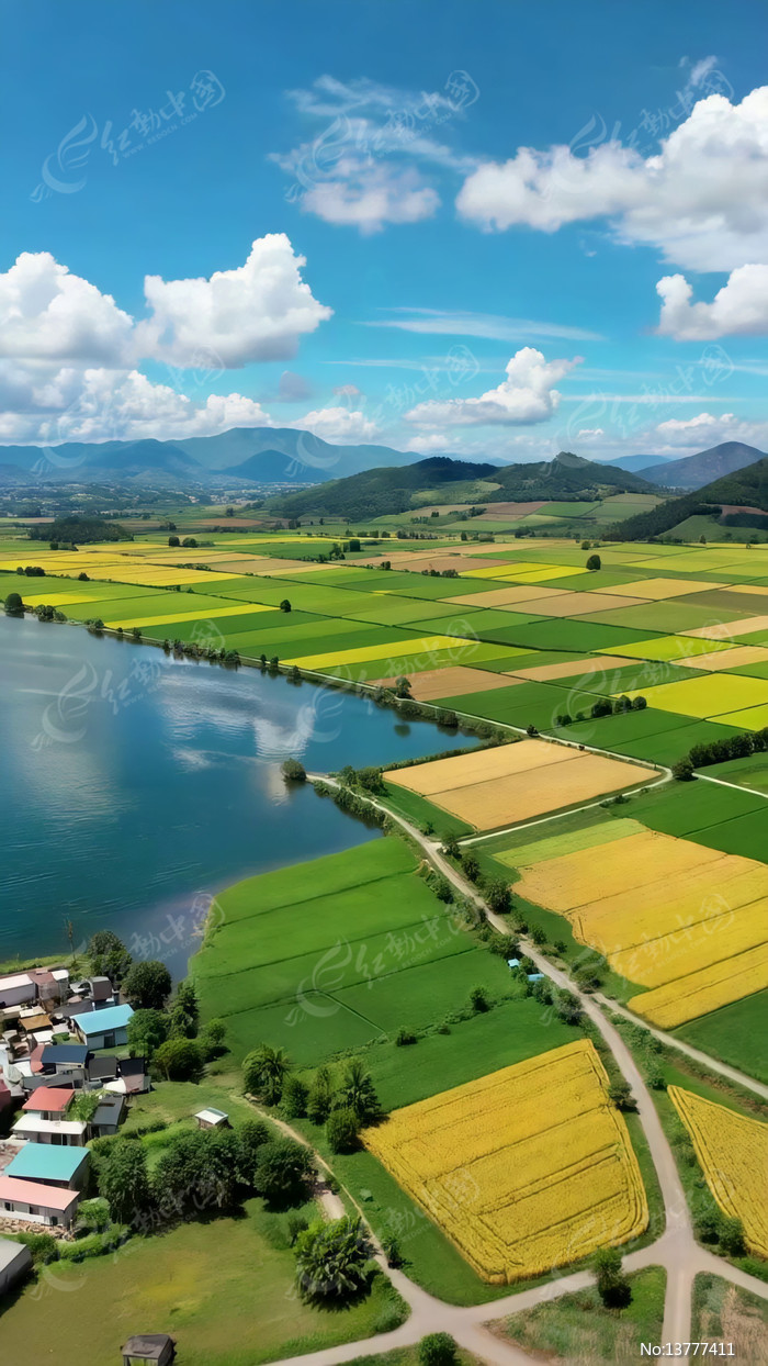 ��԰������Ȼ��⺽��