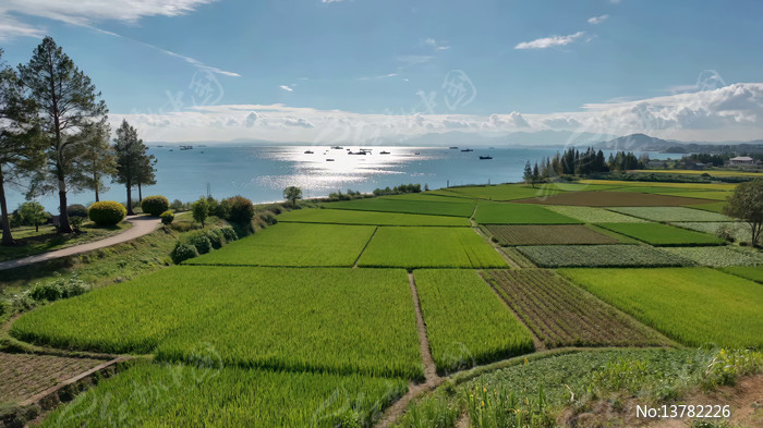 ��԰��Ұ������Ȼ���