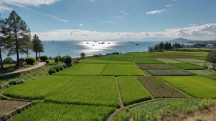 ��԰��Ұ������Ȼ���